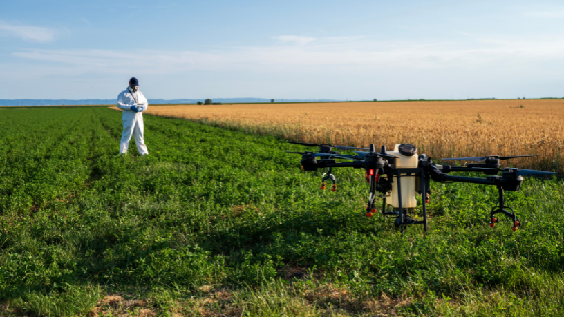 Agropecuária Grama Roxa Ltda