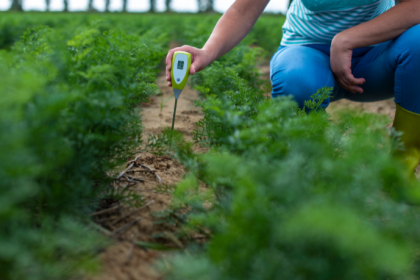 Agropecuária Grama Roxa Ltda