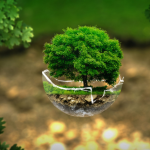 As Áreas de Preservação Permanente (APPs) são fundamentais para a proteção de ecossistemas sensíveis e recursos hídricos, como destaca Bruno Garcia Redondo.