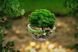 As Áreas de Preservação Permanente (APPs) são fundamentais para a proteção de ecossistemas sensíveis e recursos hídricos, como destaca Bruno Garcia Redondo.