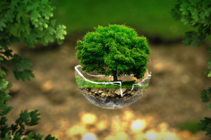 As Áreas de Preservação Permanente (APPs) são fundamentais para a proteção de ecossistemas sensíveis e recursos hídricos, como destaca Bruno Garcia Redondo.