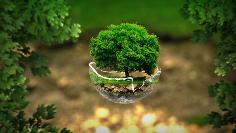 As Áreas de Preservação Permanente (APPs) são fundamentais para a proteção de ecossistemas sensíveis e recursos hídricos, como destaca Bruno Garcia Redondo.
