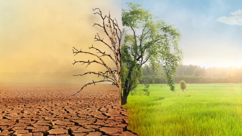 Para Gustavo Morceli, a educação baseada em dados ambientais transforma escolas em centros de experimentação, consciência climática e tomada de decisão orientada por evidências.