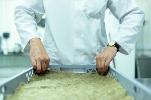 Cientista de jaleco manipula amostras em um laboratório de pesquisa.